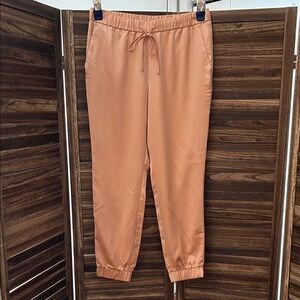Banana Republic Orange Track Pants